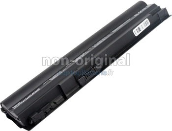Batterie pour ordinateur portable Sony VAIO VGN-TT290NAB